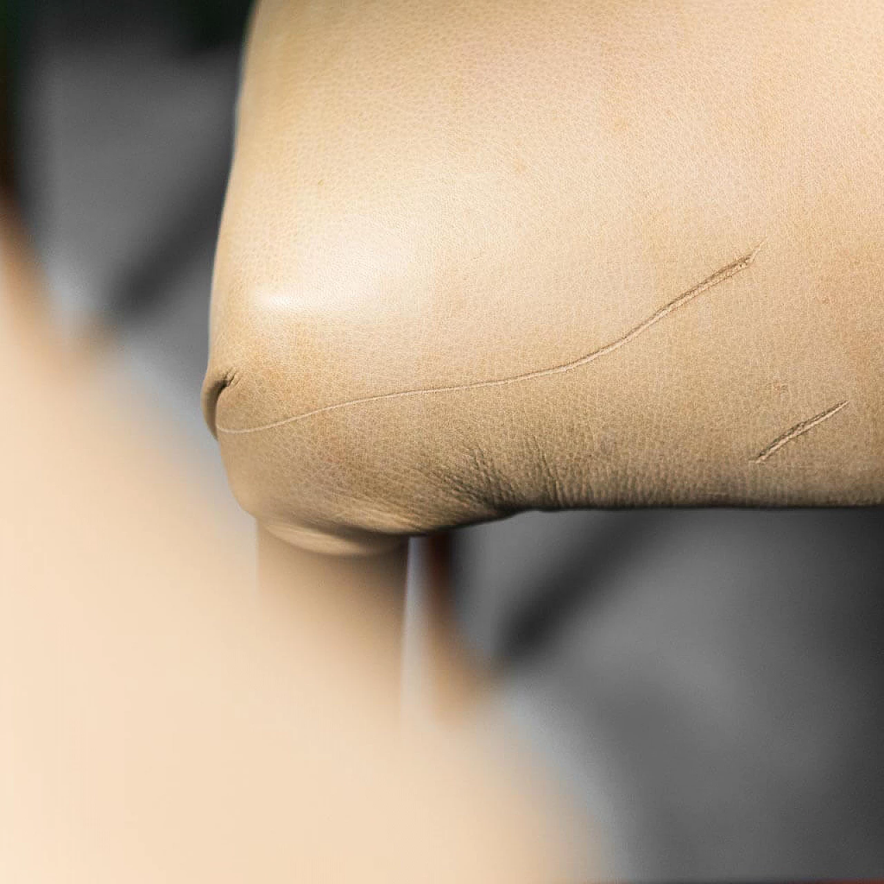 3 Sedie in pelle e velluto con struttura in legno, anni '50 1277298