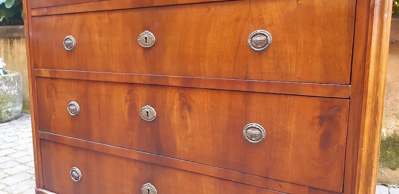 Cassettiera lastronata in noce, '800 1303170