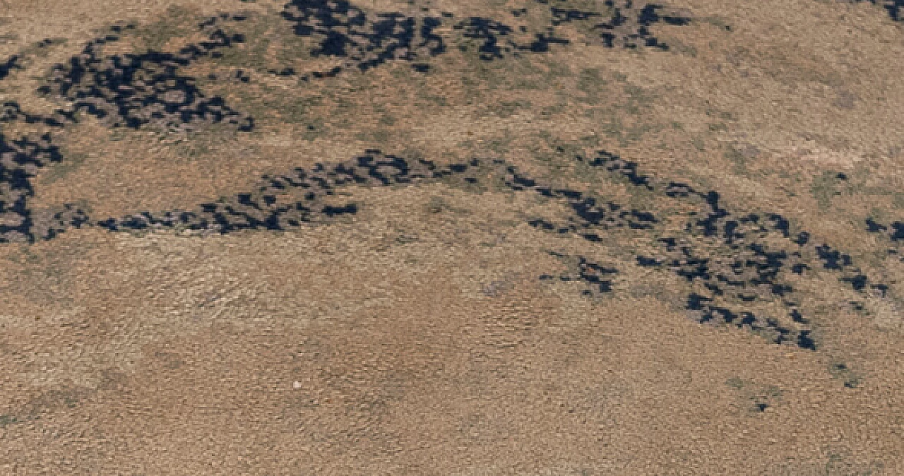 Tappeto Tierra carpets di Oscar Tusquets Blanca, 1987 1304442