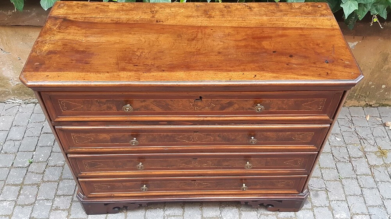 Cassettiera Lombarda in noce, '600 1305932