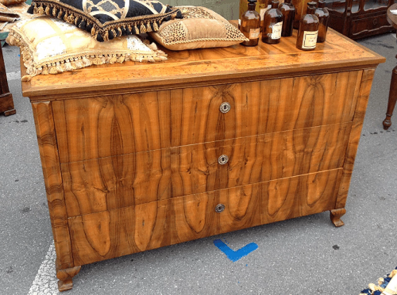 Cassettiera viennese in radica di noce e betulla, acero e ciliegio, '800 1305936