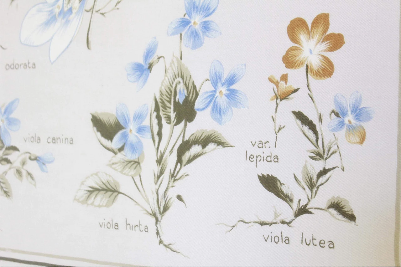 Floral poster with field violets, Milan, 1960s 1308069