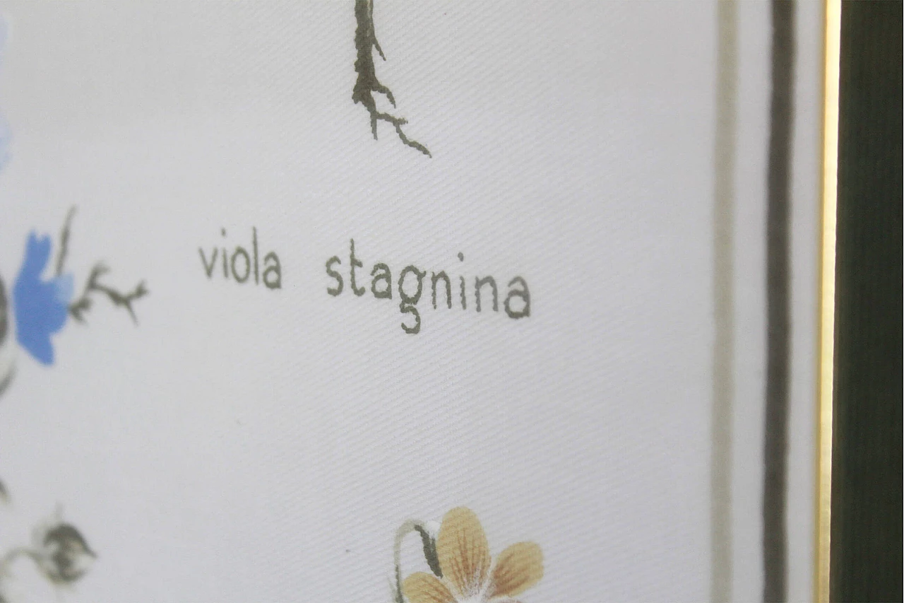 Poster floreale con violette di campo, Milano, anni '60 1308070