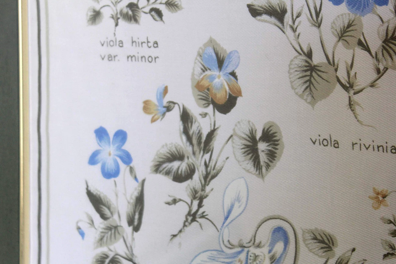 Poster floreale con violette di campo, Milano, anni '60 1308078