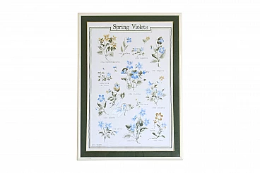 Floral poster with field violets, Milan, 1960s