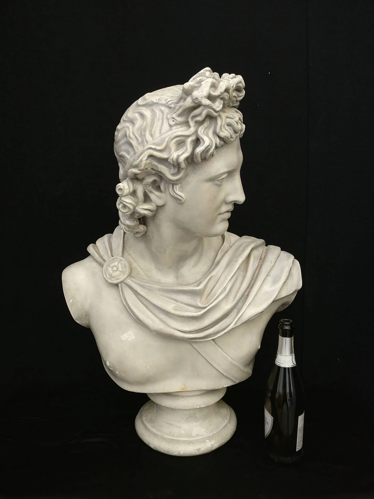 Busto in gesso raffigurante Dio Apollo, '800 1311098