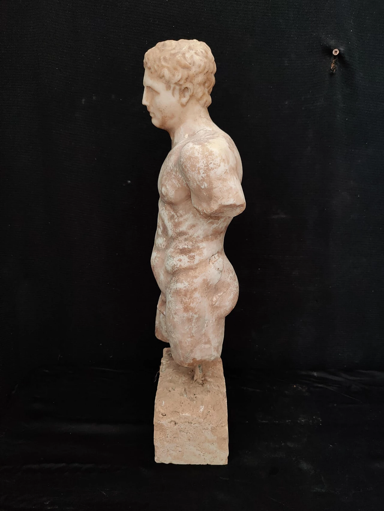 Male torso in marble powder, 20s 1311128