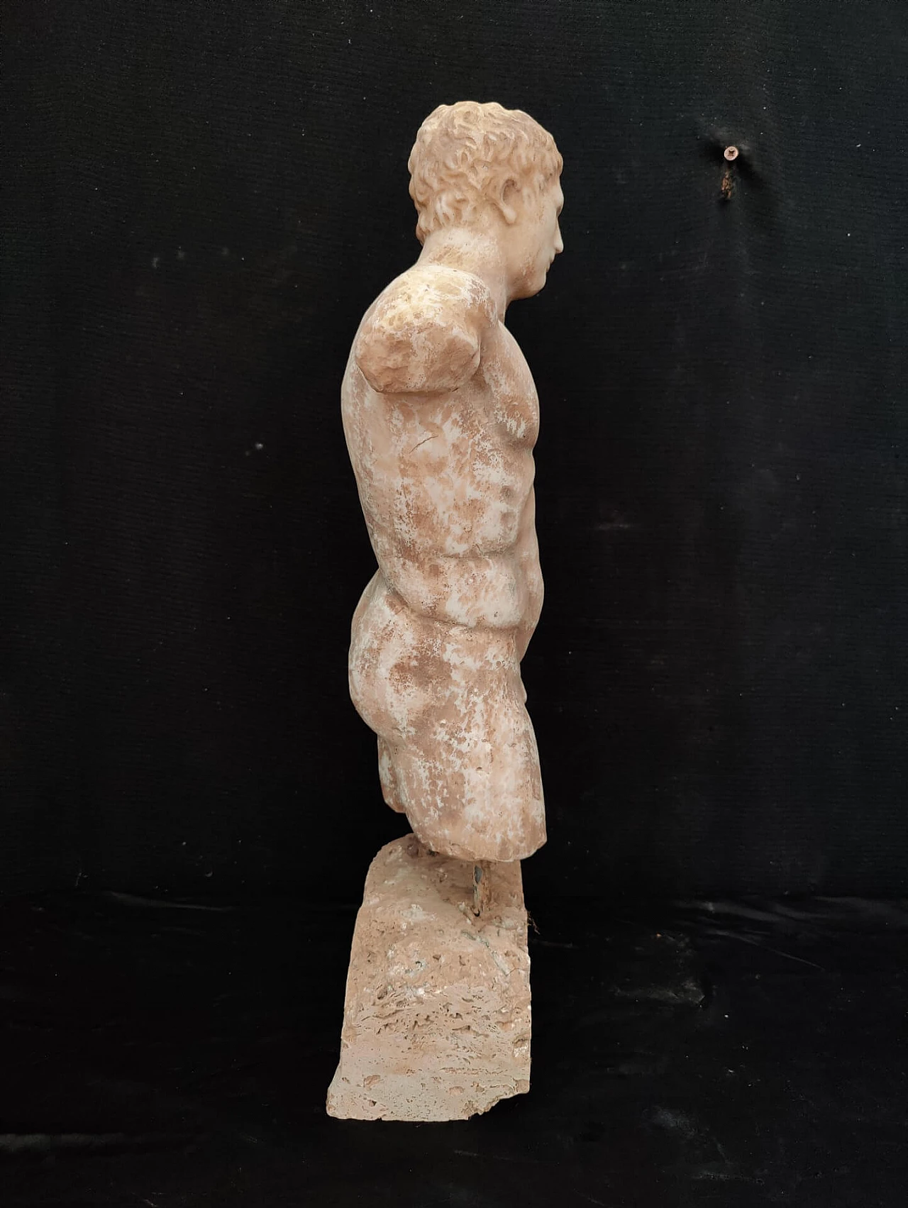 Male torso in marble powder, 20s 1311129