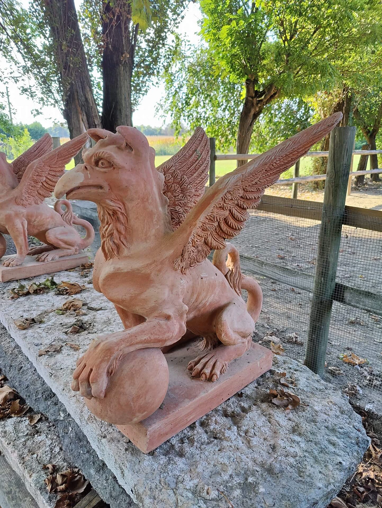 Pair of griffons in terracotta, 20s 1311156