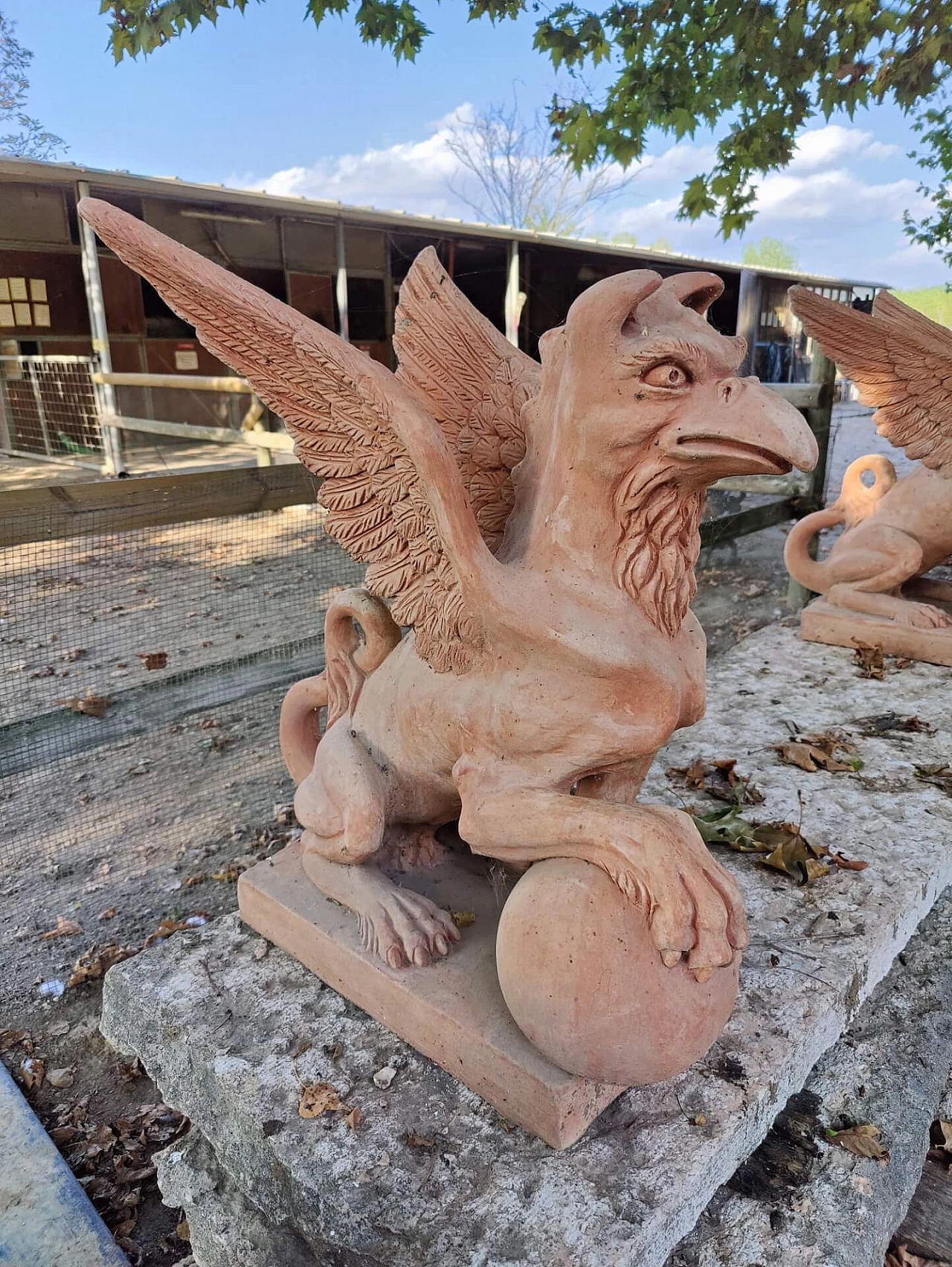 Pair of griffons in terracotta, 20s 1311157