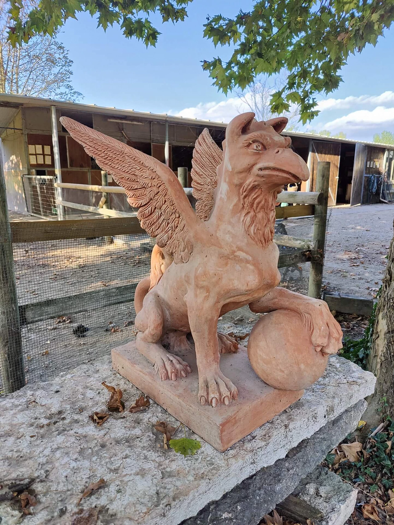 Pair of griffons in terracotta, 20s 1311158