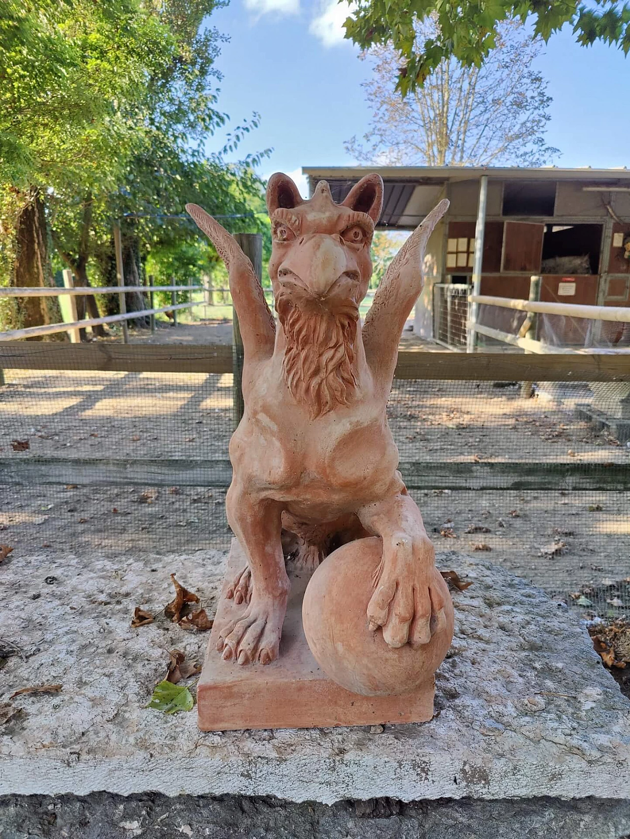 Pair of griffons in terracotta, 20s 1311159