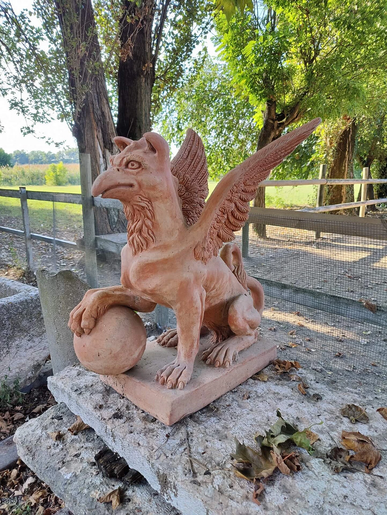 Pair of griffons in terracotta, 20s 1311160