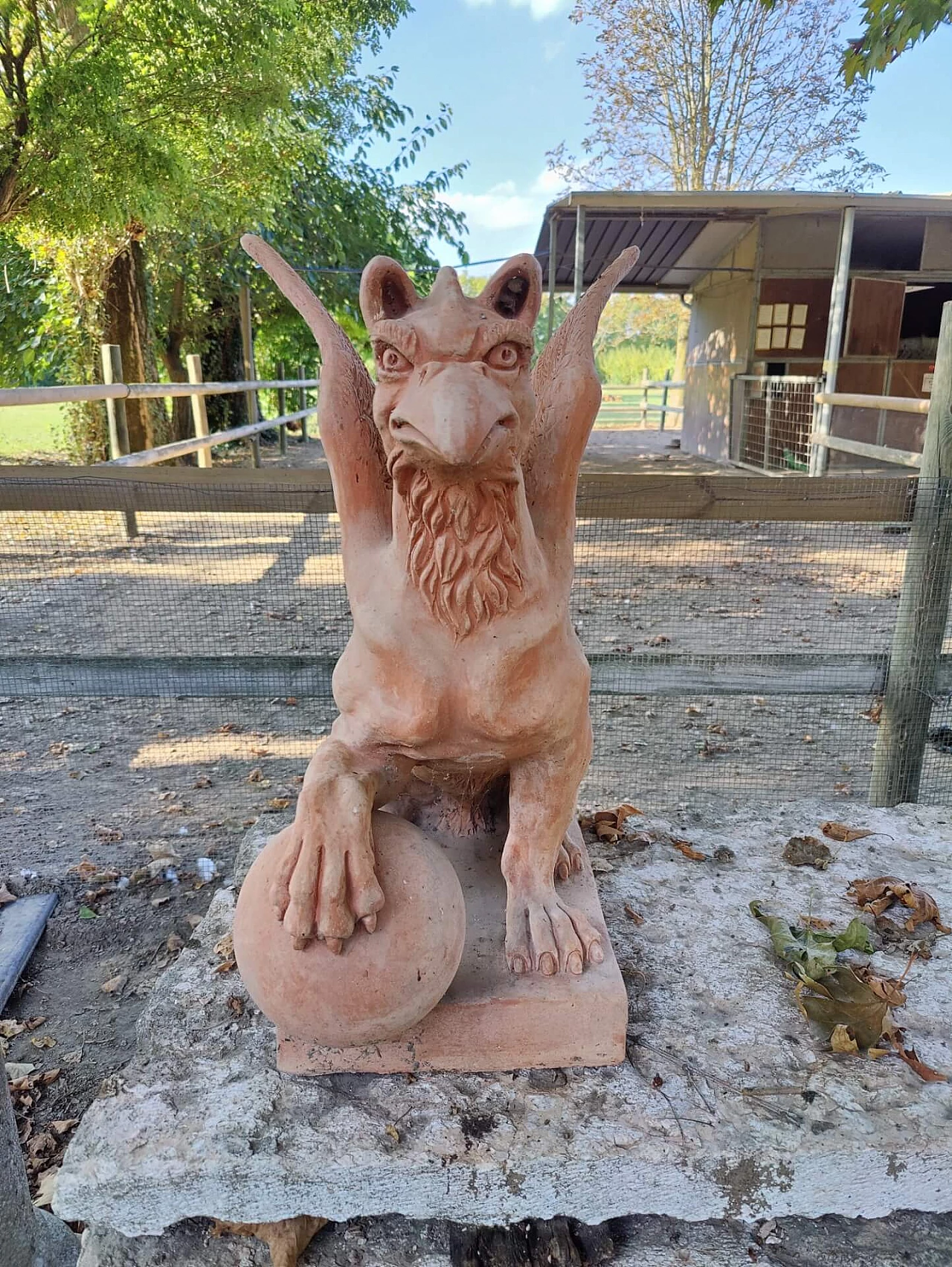 Pair of griffons in terracotta, 20s 1311162