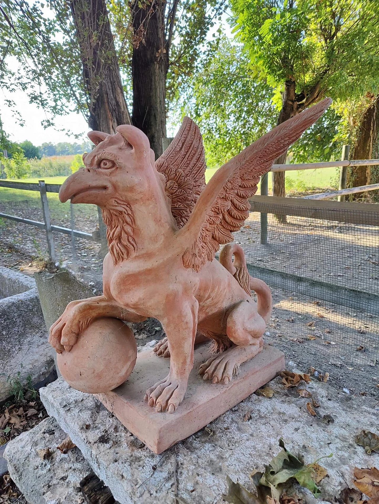 Pair of griffons in terracotta, 20s 1311164