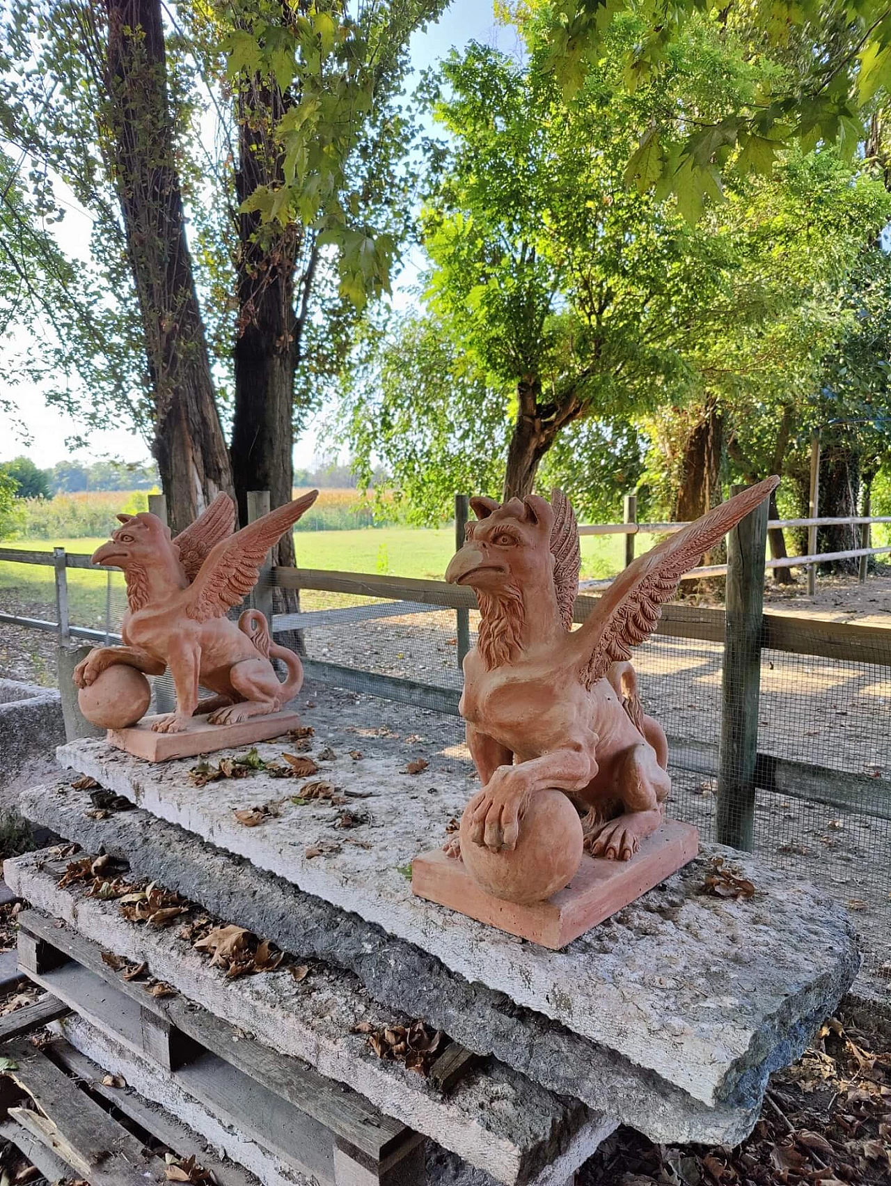 Pair of griffons in terracotta, 20s 1311165