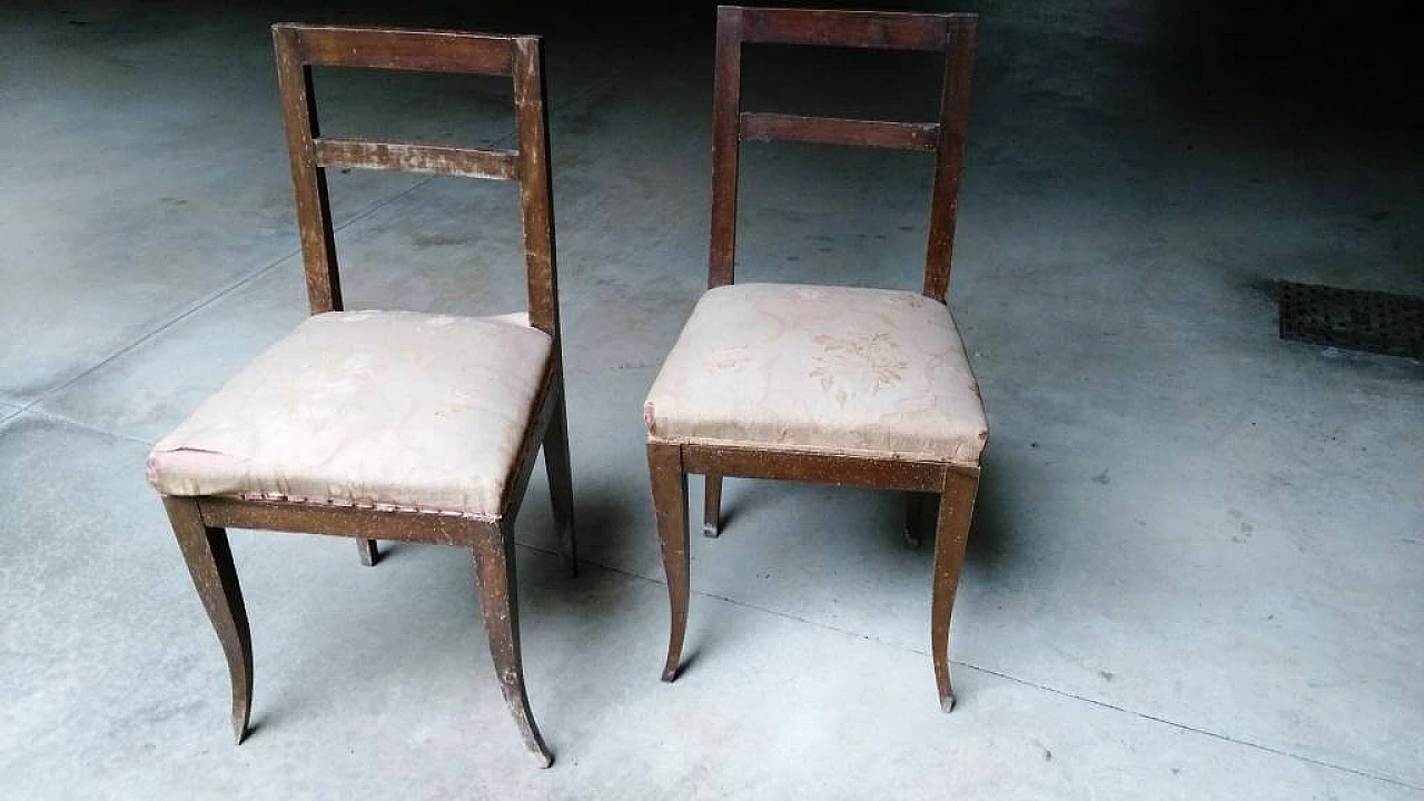 Coppia di sedie in faggio, anni '40 1311843