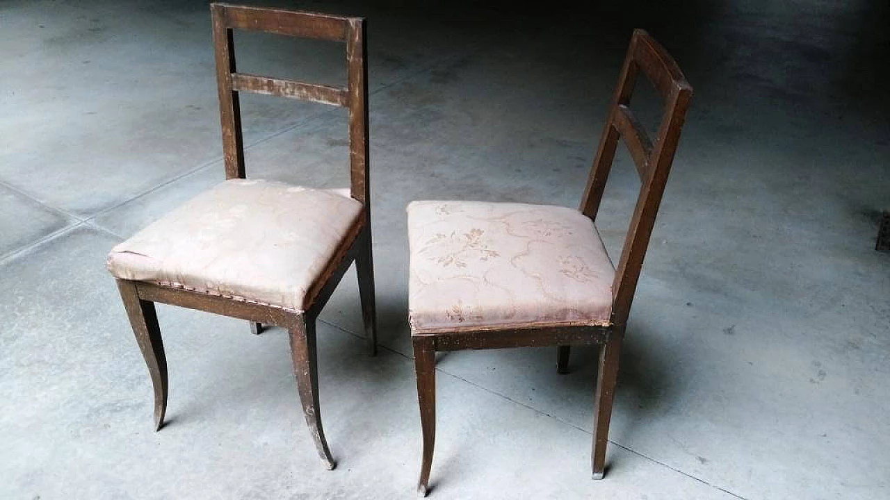 Coppia di sedie in faggio, anni '40 1311844