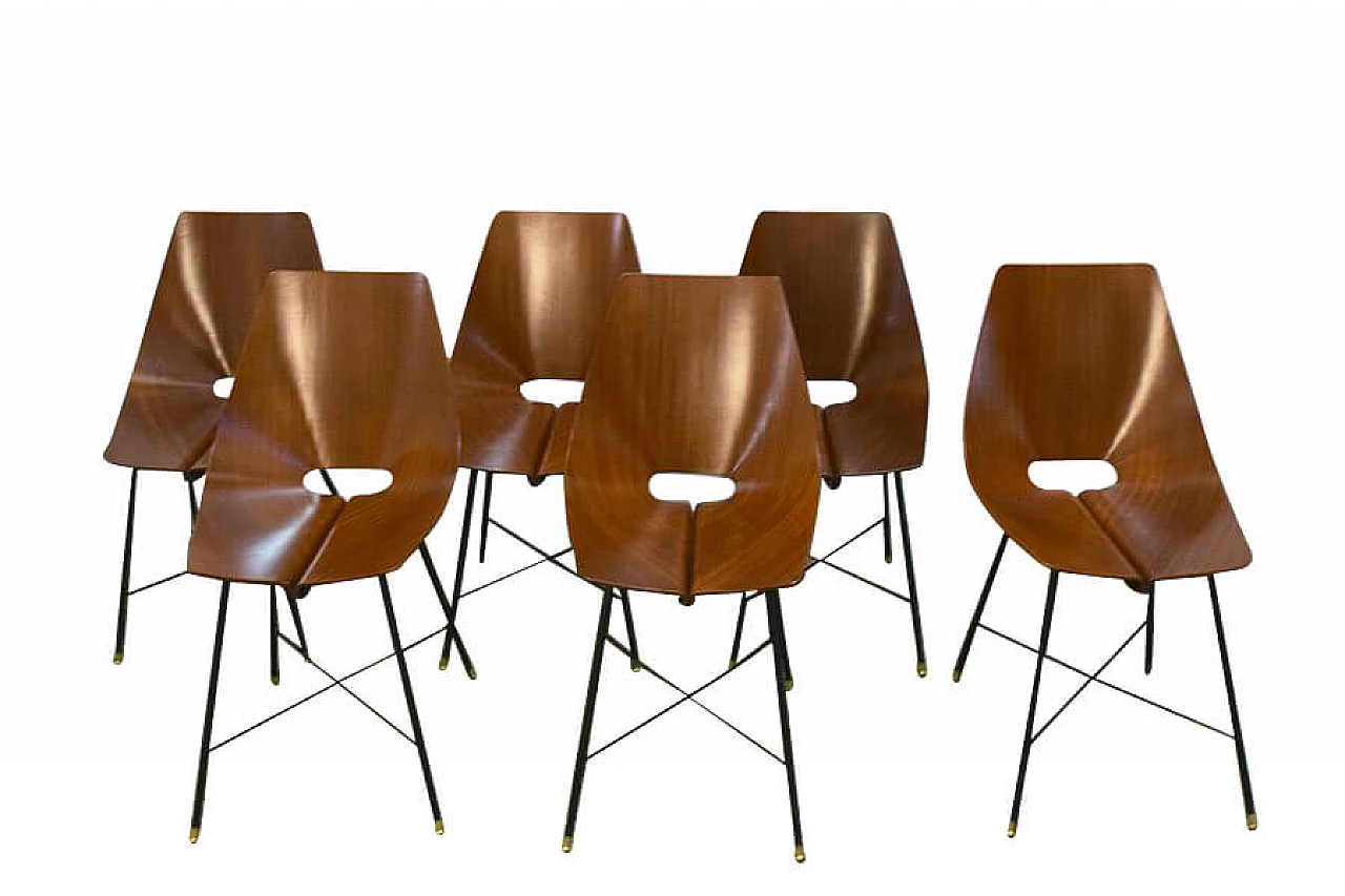6 Chairs in curved plywood, rosewood, painted metal and brass by Società Compensati Curvati, 50s 1312794