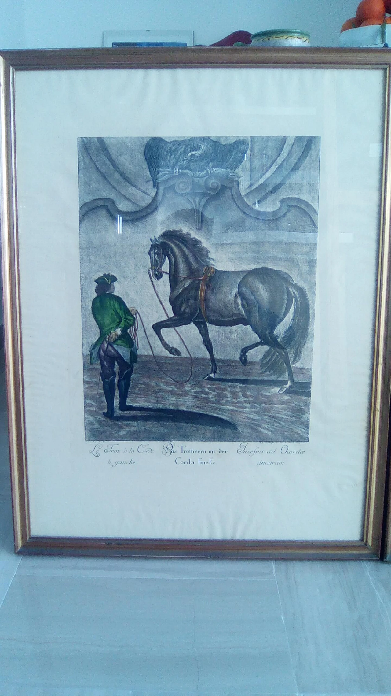 Da Johann Elias Riding, coppia di stampe equestri, anni 1940 1362243