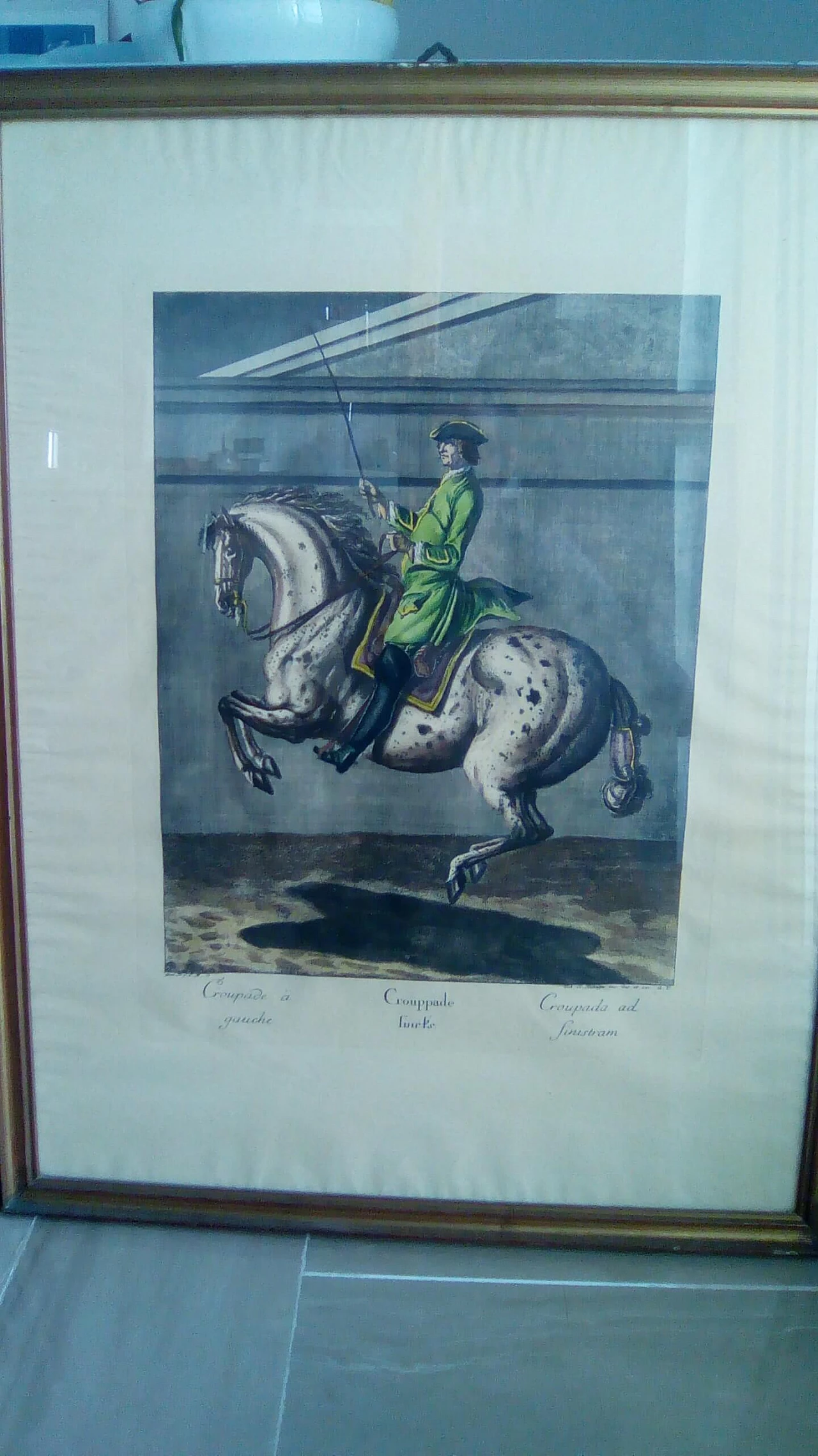 Da Johann Elias Riding, coppia di stampe equestri, anni 1940 1362244