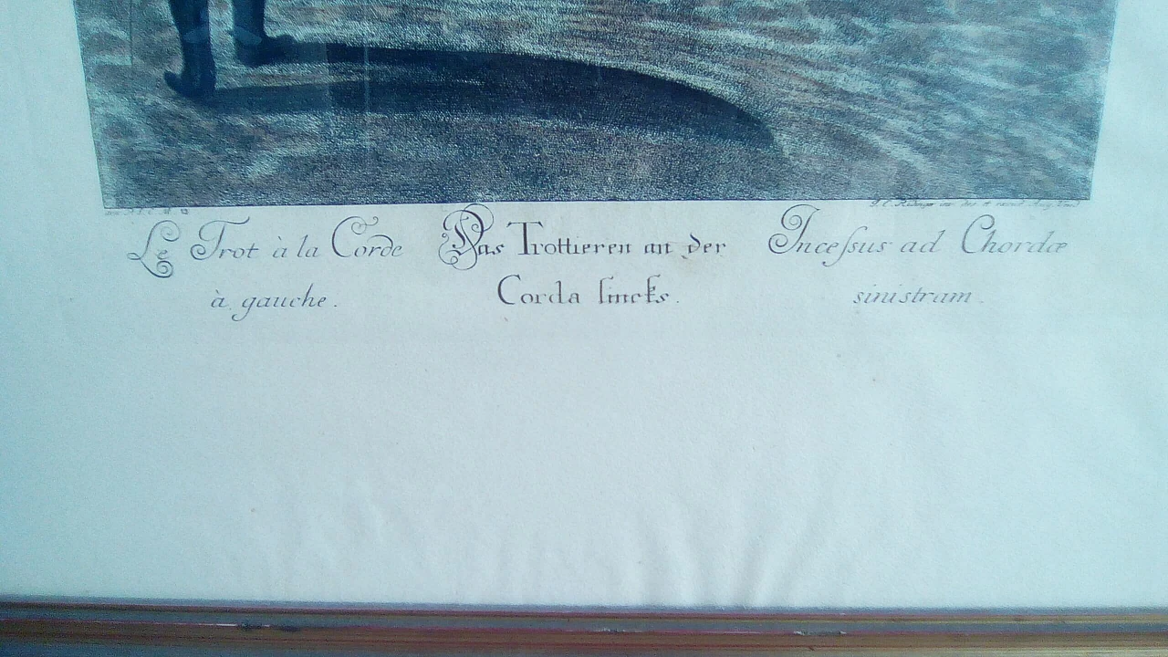 Da Johann Elias Riding, coppia di stampe equestri, anni 1940 1362246