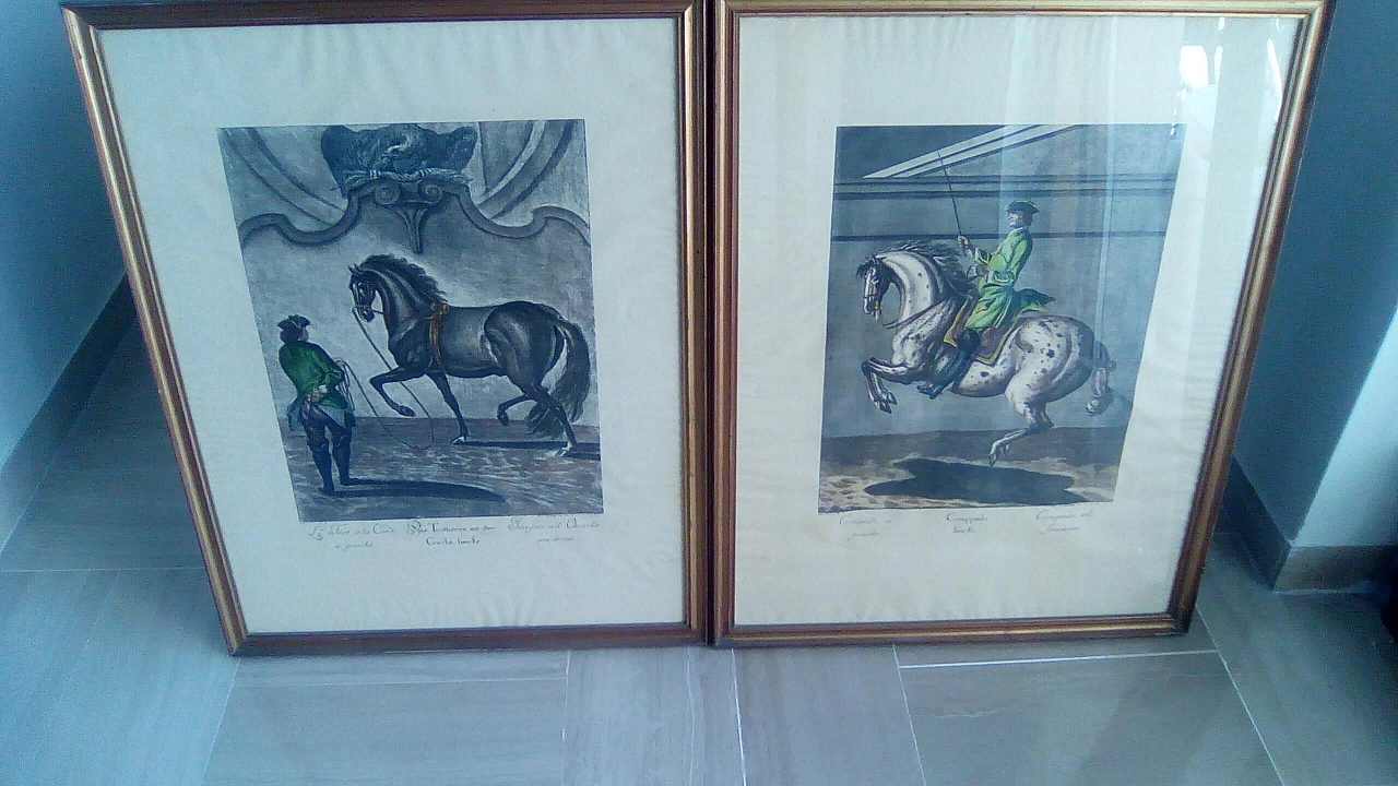 Da Johann Elias Riding, coppia di stampe equestri, anni 1940 1362247