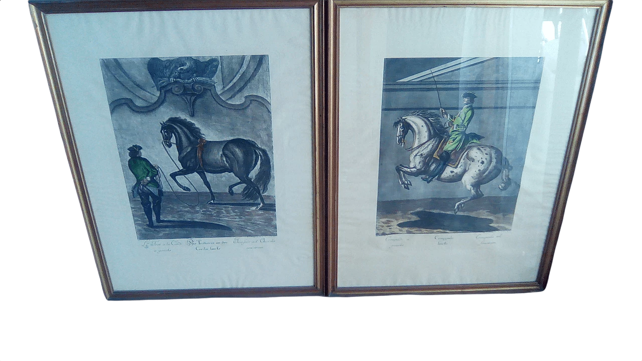 Da Johann Elias Riding, coppia di stampe equestri, anni 1940 1363392