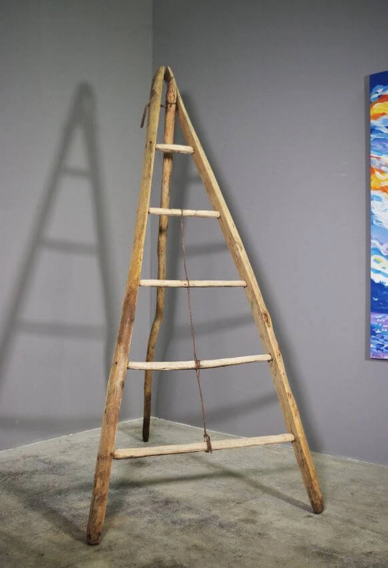 Spruce and beech wood ladder, 1910s 1371722
