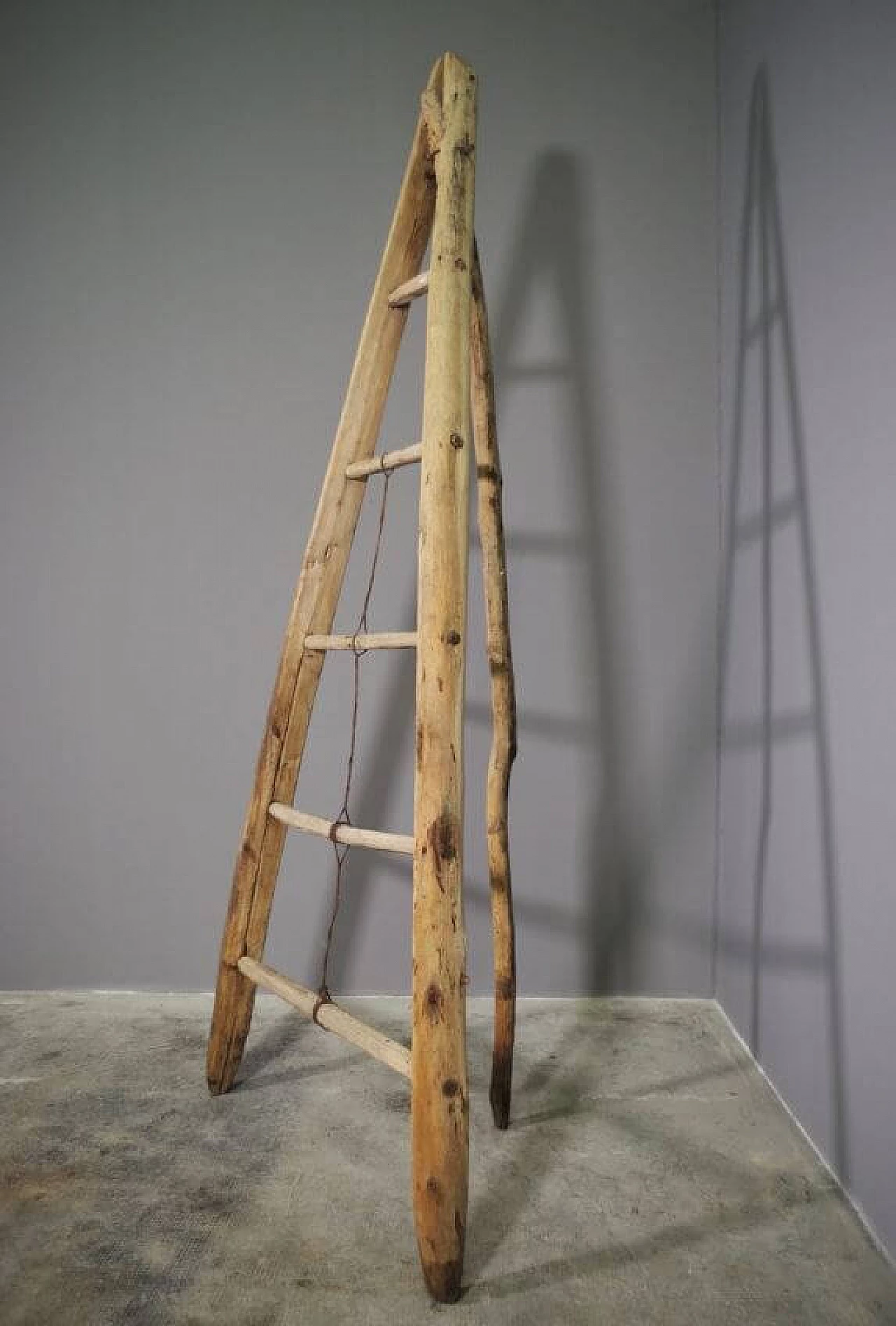 Spruce and beech wood ladder, 1910s 1371728