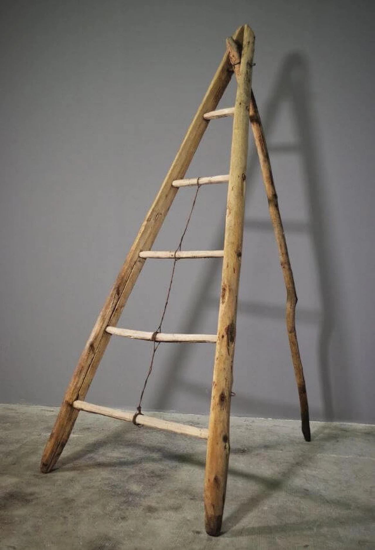 Spruce and beech wood ladder, 1910s 1371729