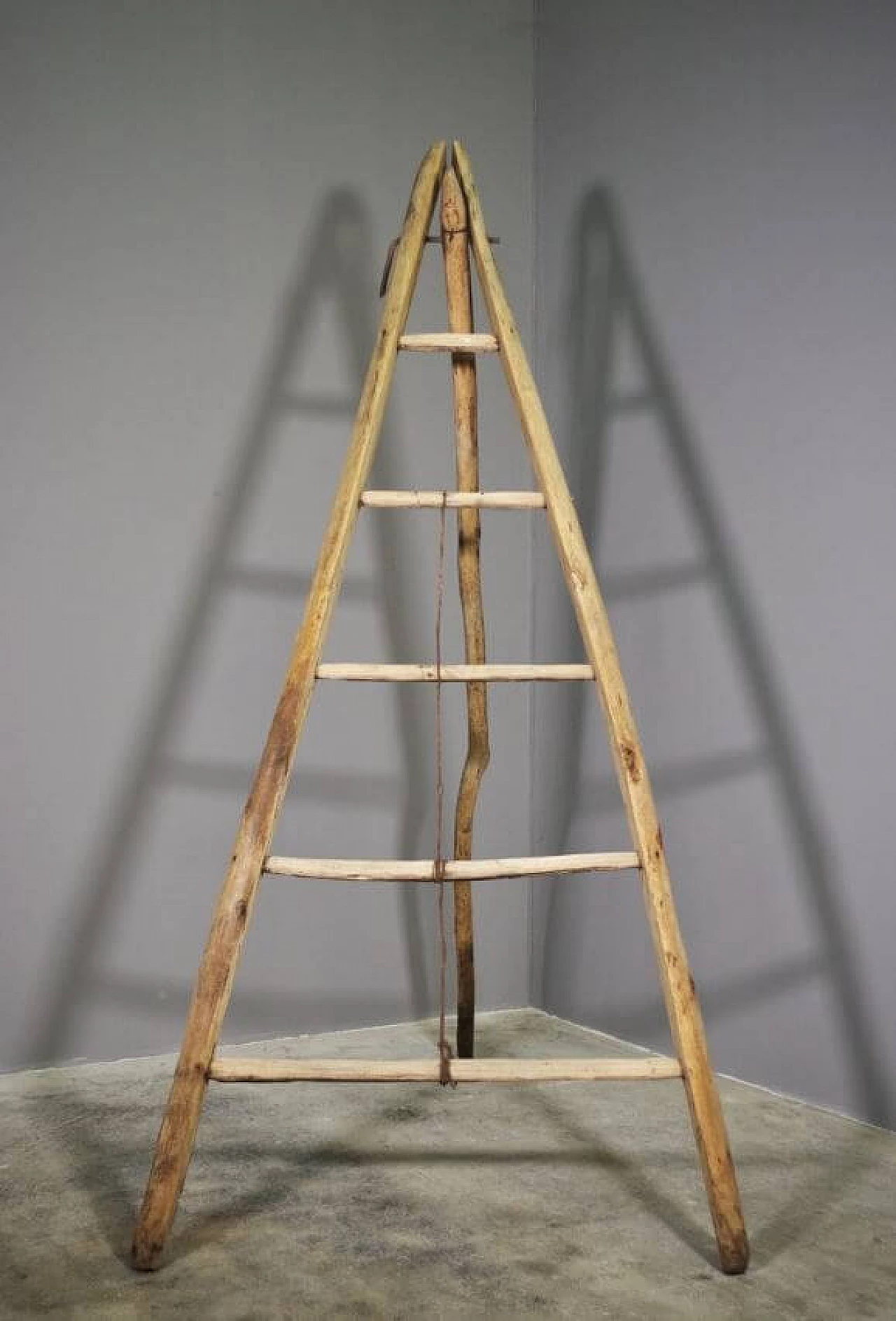 Spruce and beech wood ladder, 1910s 1371733