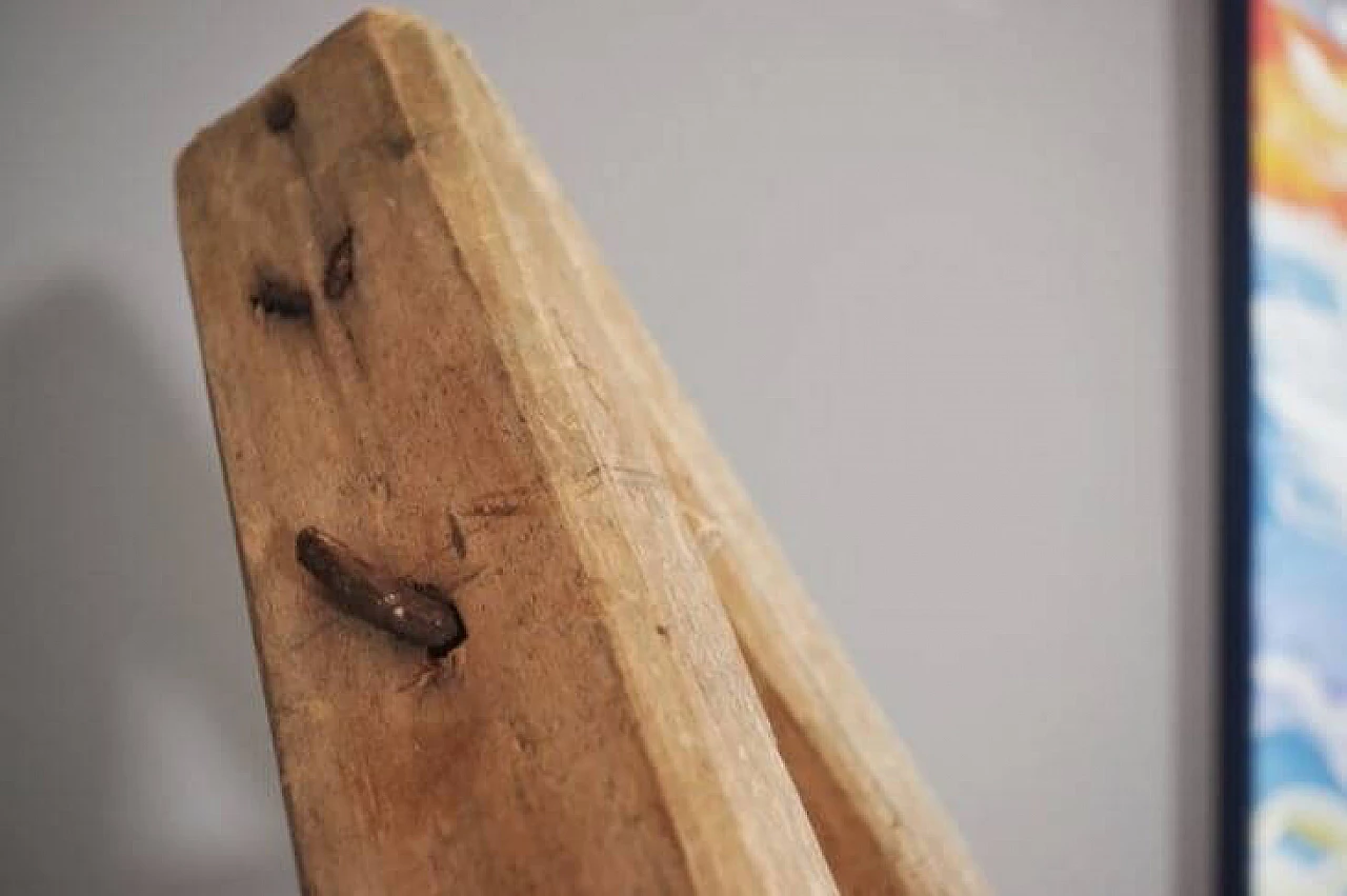 Spruce and beech wood staircase, 20th century 1371772