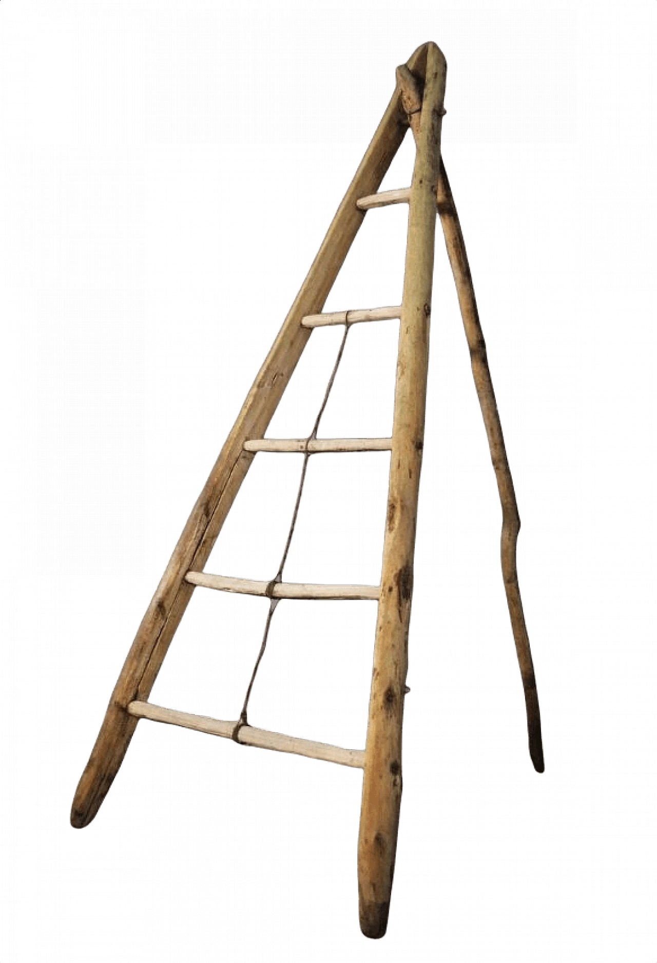Spruce and beech wood ladder, 1910s 1371873