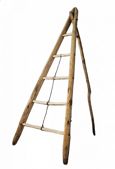 Spruce and beech wood ladder, 1910s