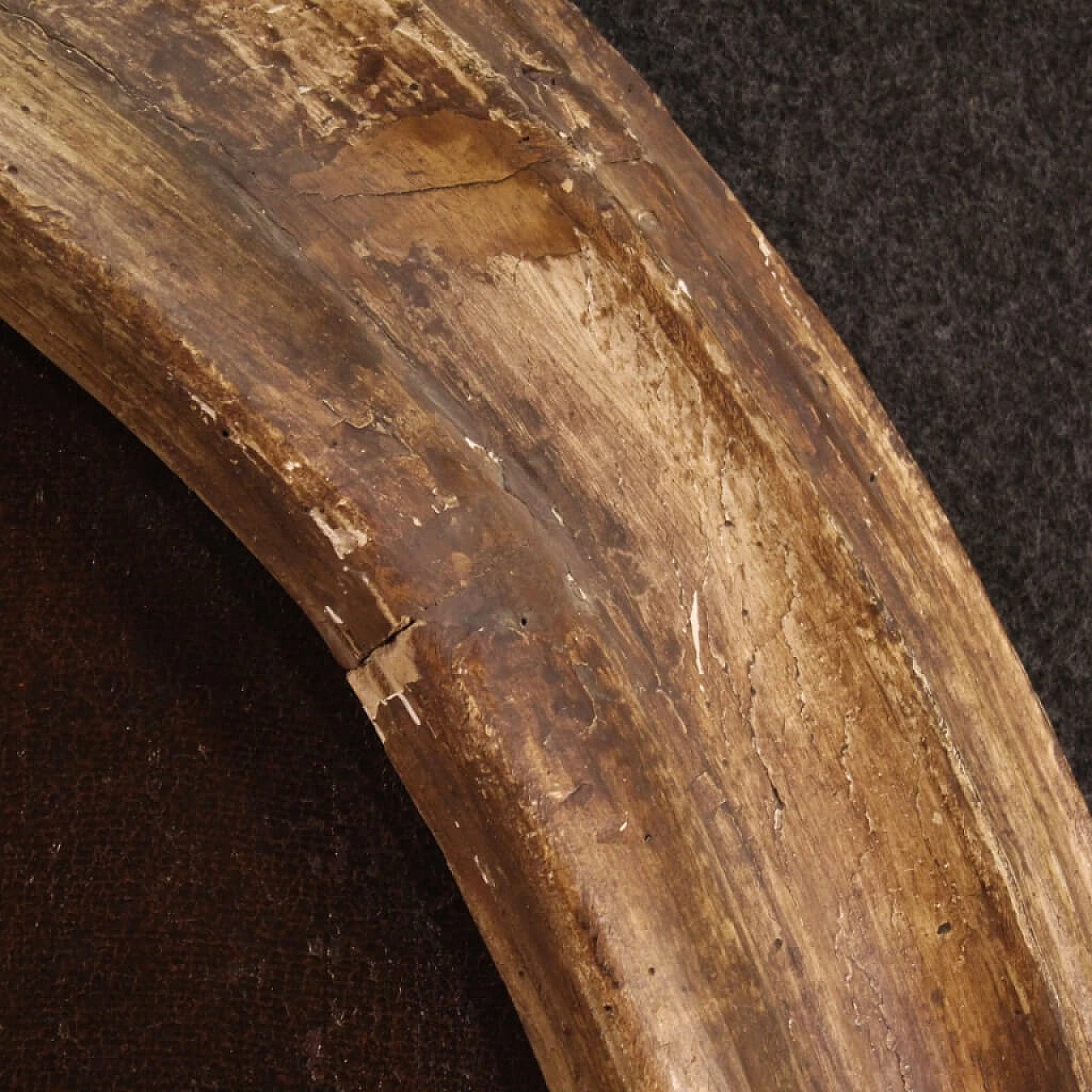 San Paolo, dipinto ovale olio su tela, '600 1372594