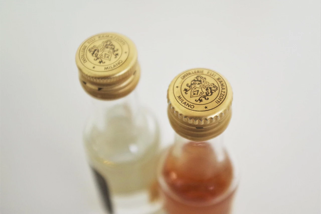 Distillerie F.lli Ramazzotti mignon liqueur and shot glass case, 1970s 1376109