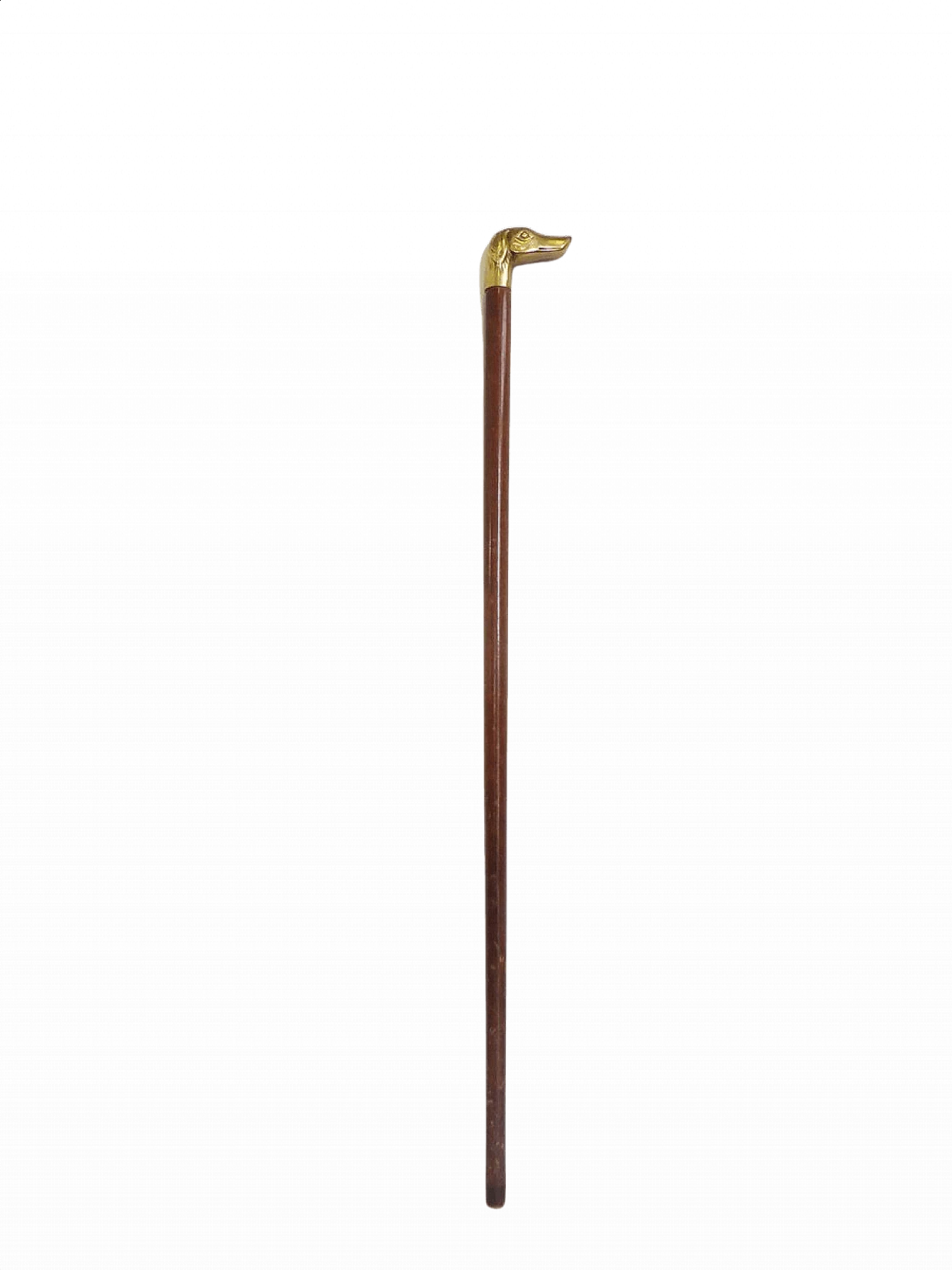 Bastone da passeggio con impugnatura in ottone, anni '50 1376550