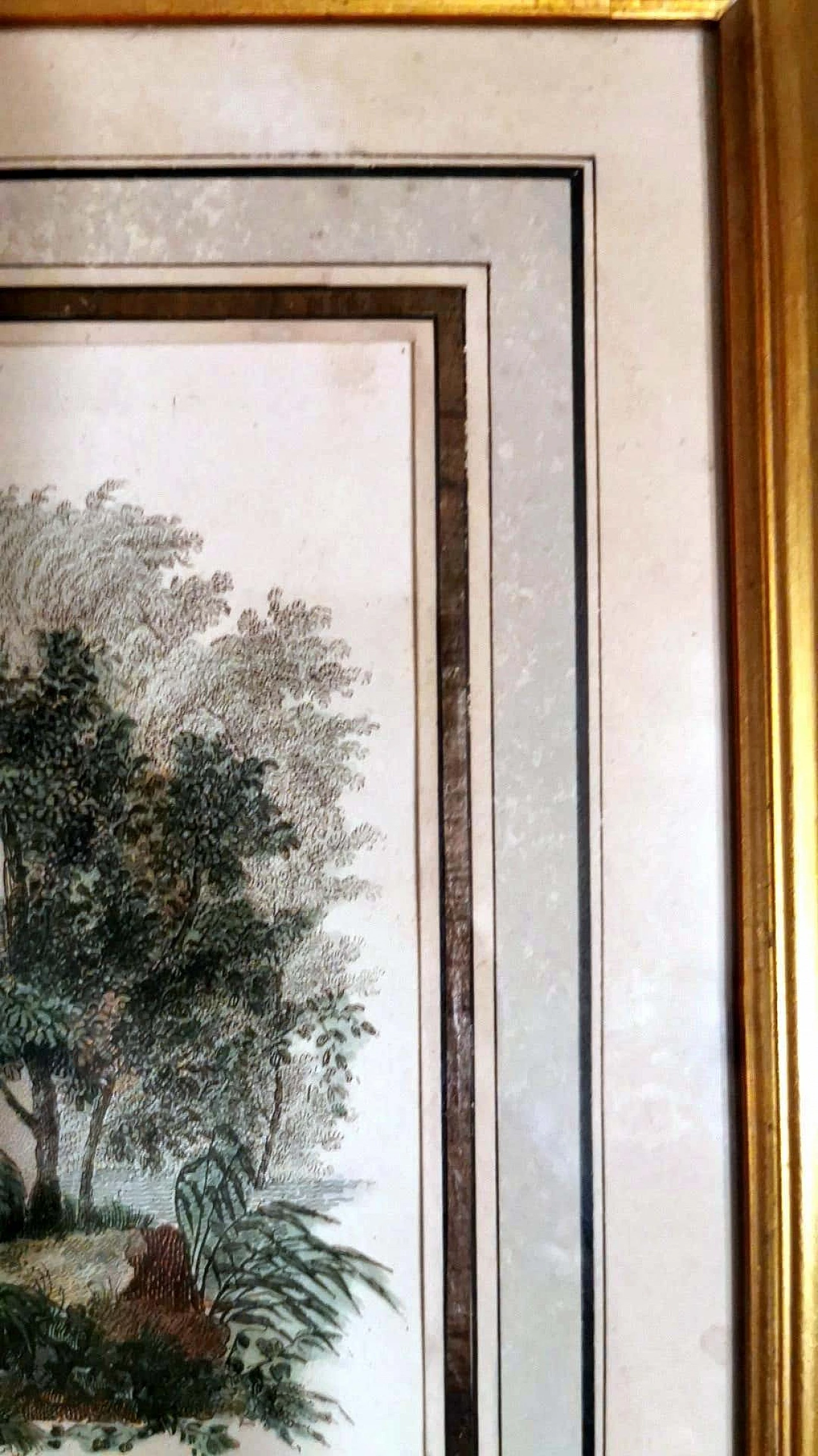 Nargeol Adrien, coppia di stampe dipinte ad acquerello con cornici dorate, '800 1396322