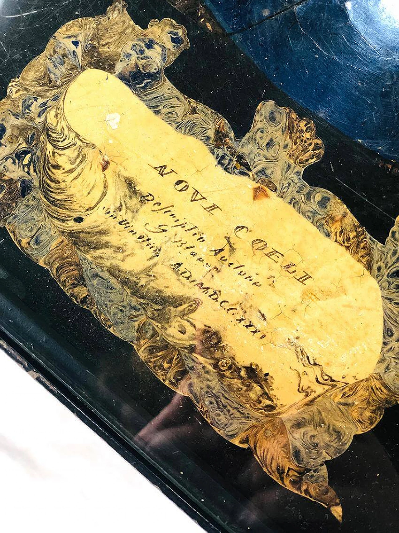 Tavolino in scagliola policroma di Guglielmo Blaeuni, '700 1406047