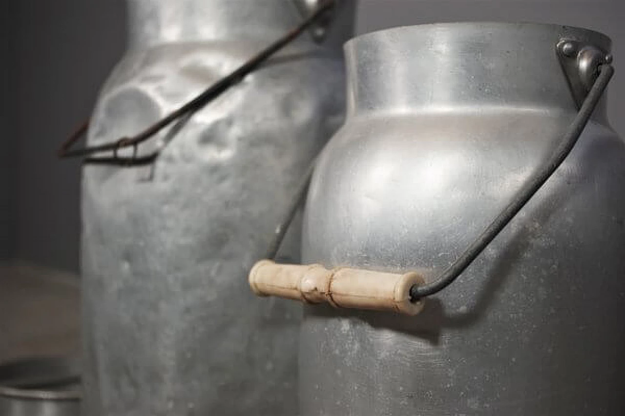 Coppia di contenitori per latte, anni '50 1407497