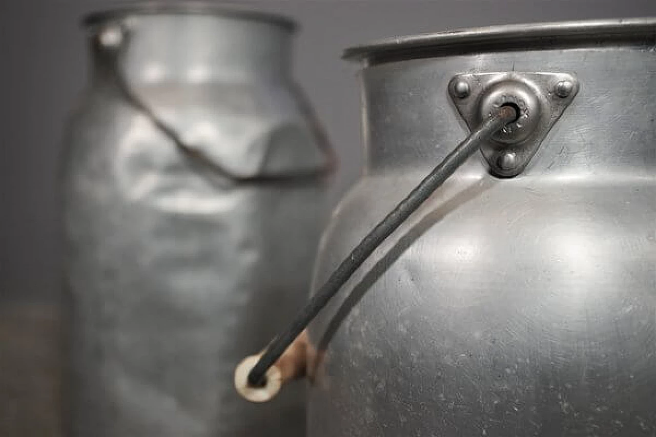 Coppia di contenitori per latte, anni '50 1407503