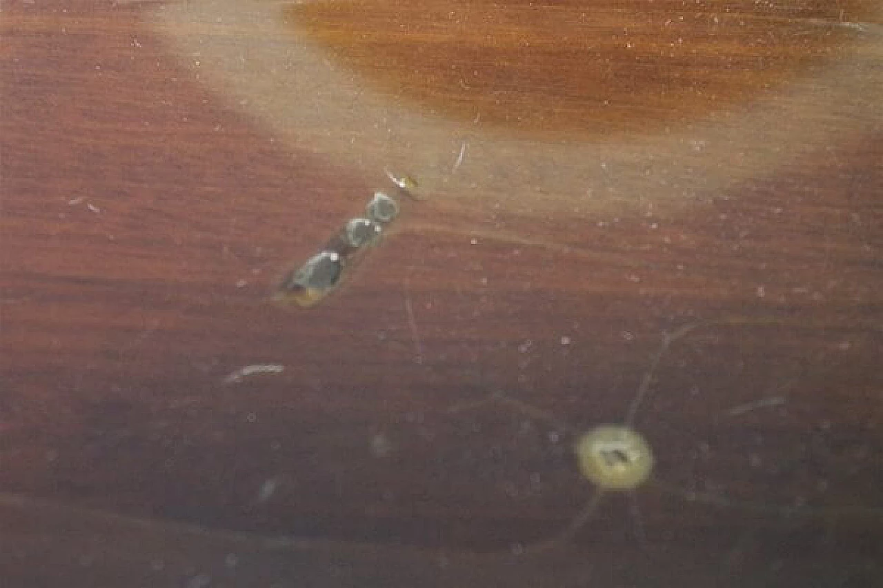 Radio Turandot di Nordmende, anni '60 1407631