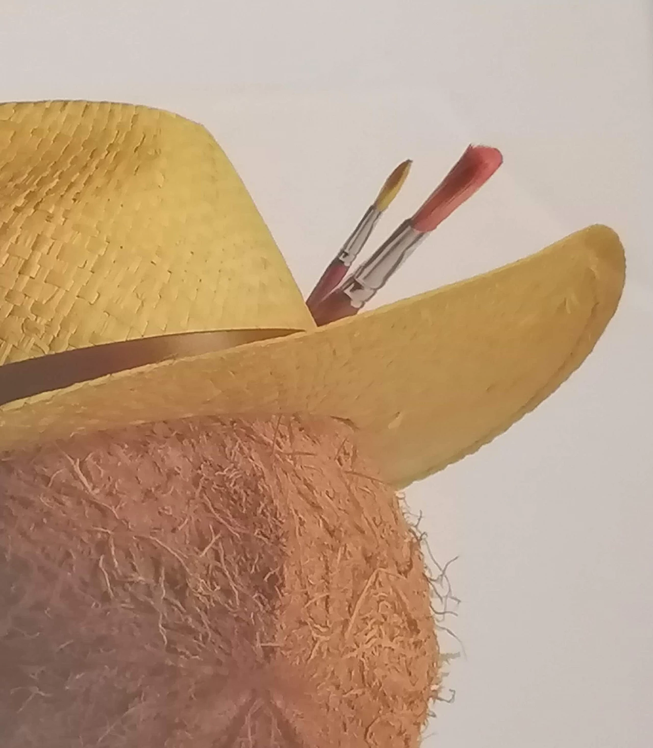 Armando Testa, Vincent Van Coc, poster pubblicitario per Esselunga, anni '90 1450434