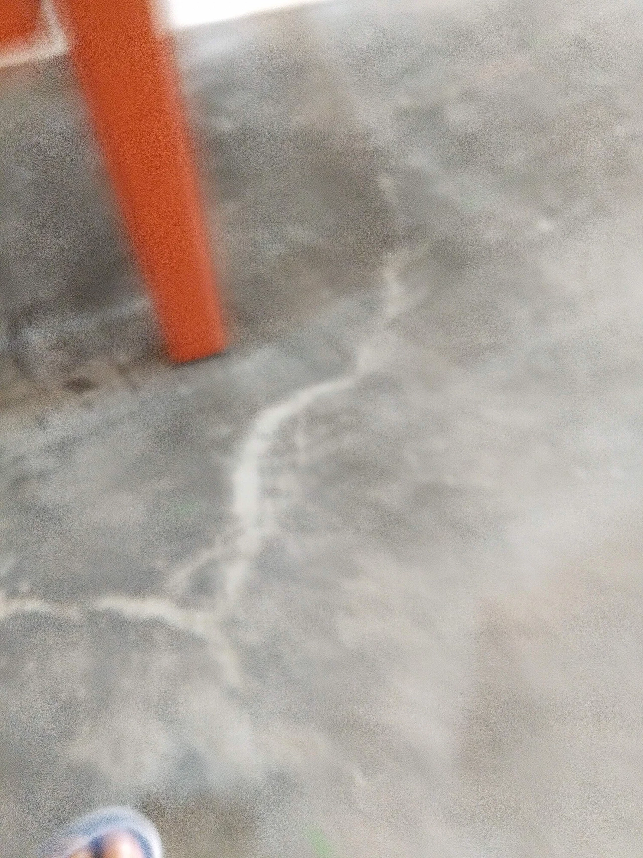 Coppia di sedie Golfo dei Poeti di Toussaint & Angeloni produzione Matteo Grassi, anni '80 78