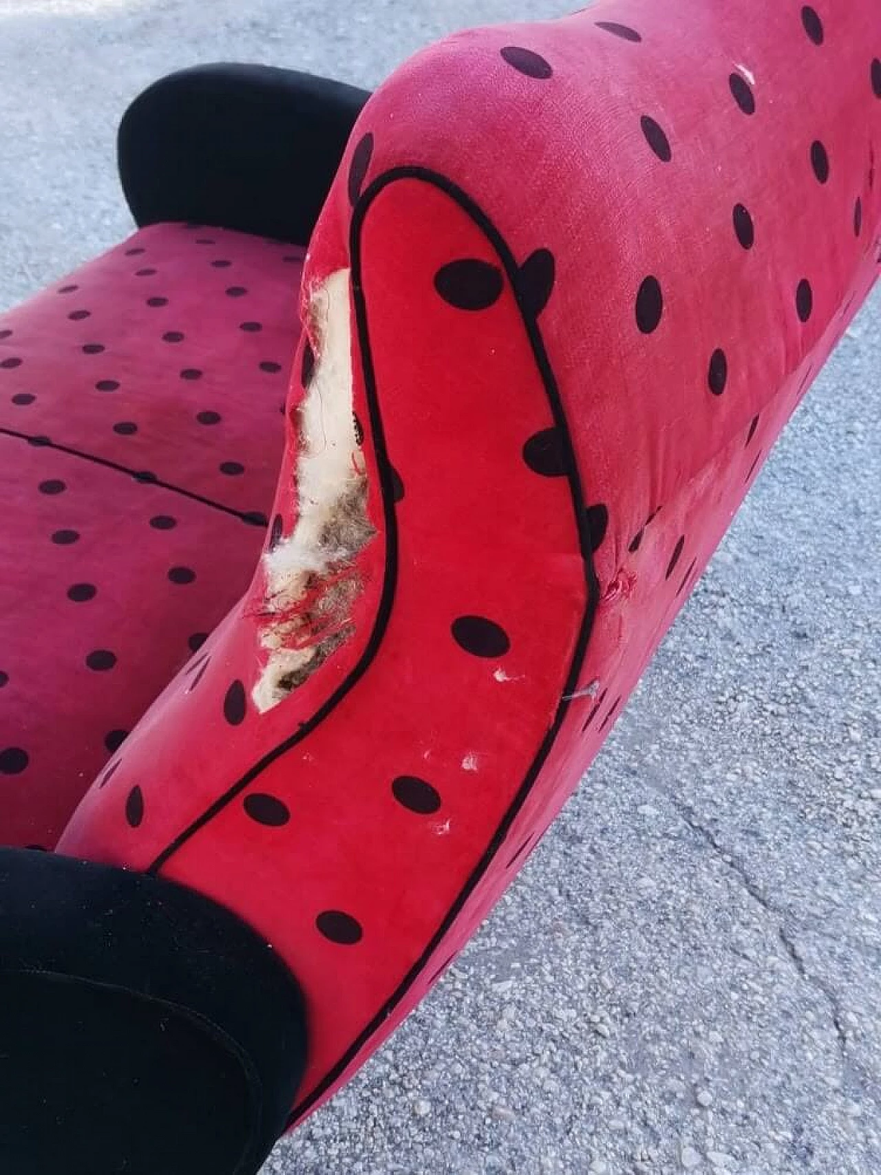 Two seater sofa in red velvet and black polka dots, 1950s 2