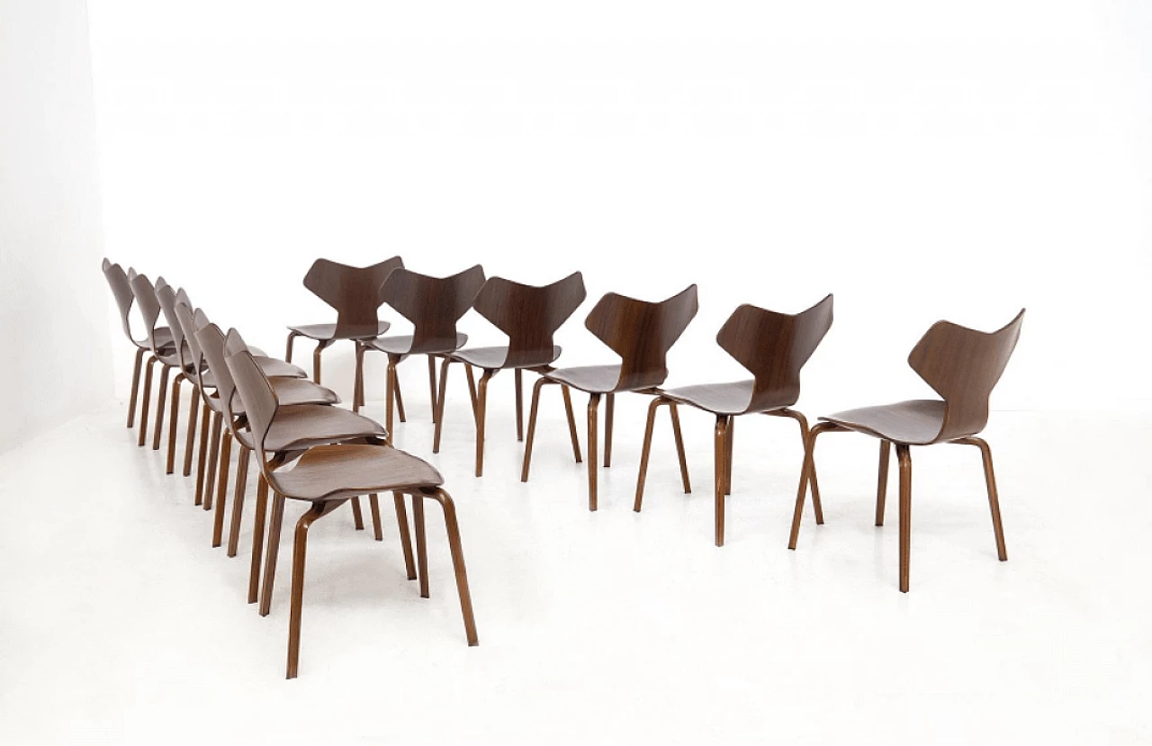 12 Sedie Gran Prix in legno, di Arne Jacobsen, anni '50 3