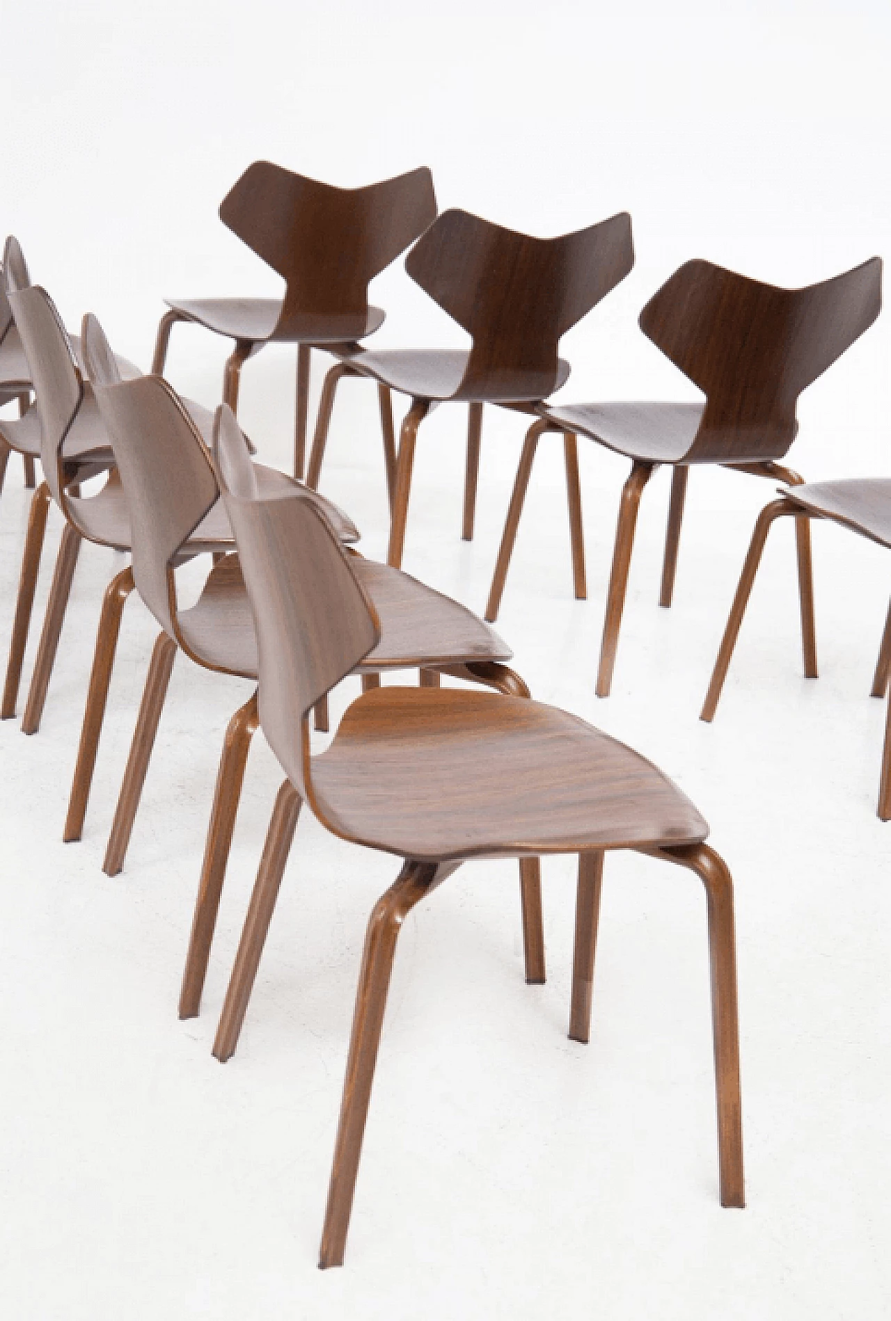 12 Sedie Gran Prix in legno, di Arne Jacobsen, anni '50 4