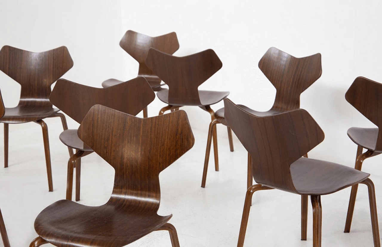 12 Sedie Gran Prix in legno, di Arne Jacobsen, anni '50 5