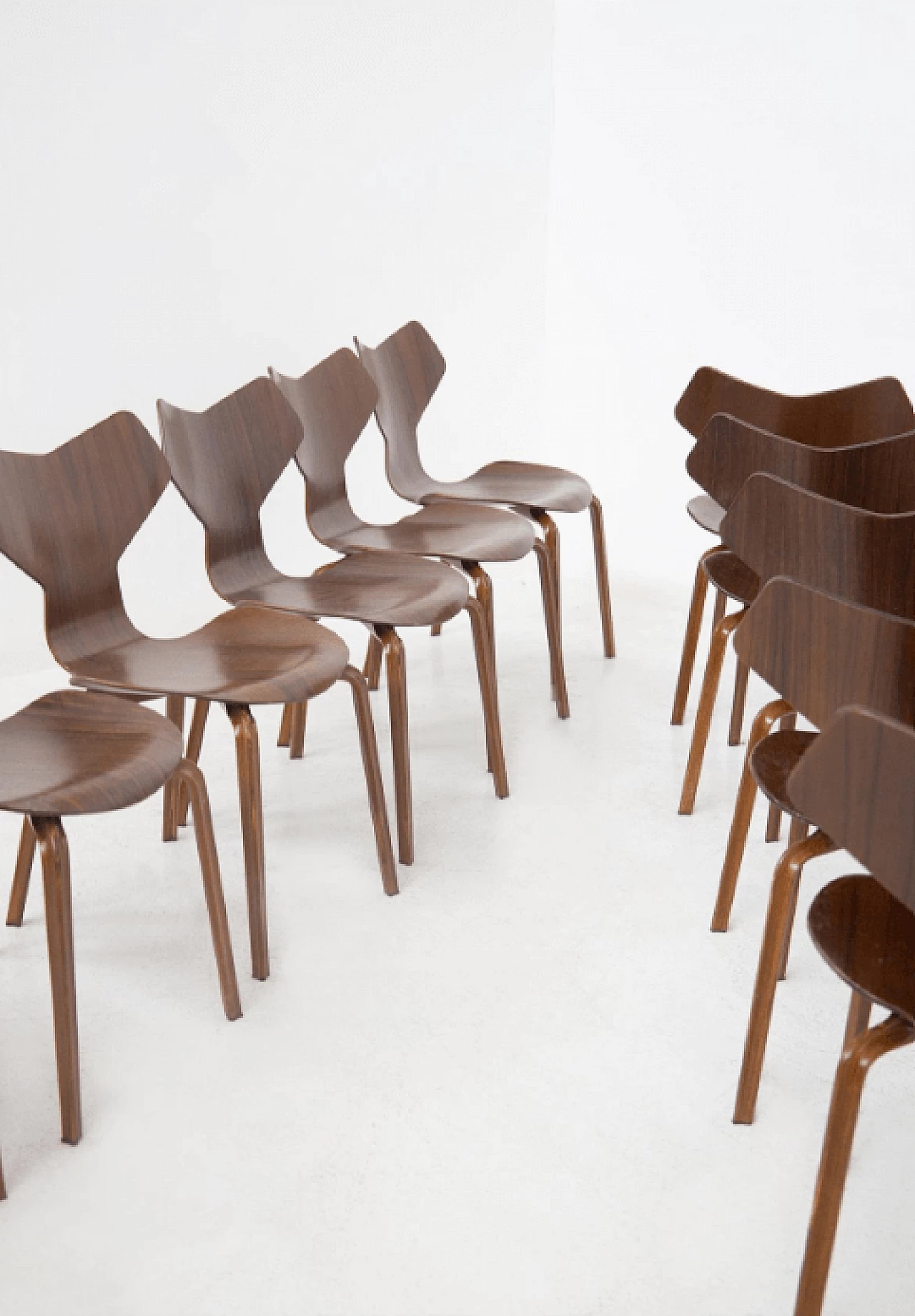12 Sedie Gran Prix in legno, di Arne Jacobsen, anni '50 6